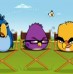 Angry Birds estrelam novo comercial do Google Chrome